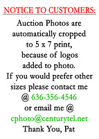 Auction-photos