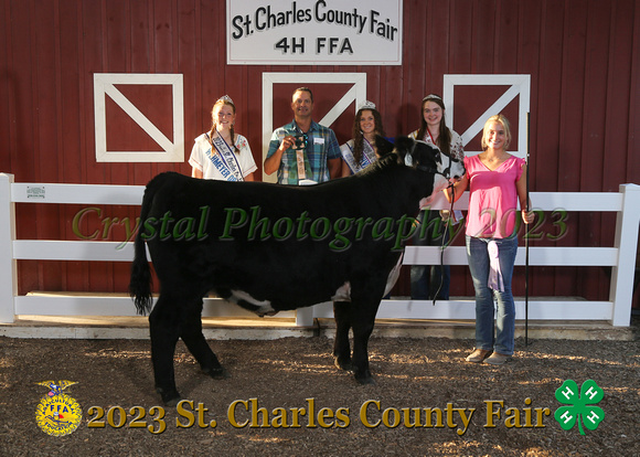 IMG_3218_2023 SCCF_Market Steer