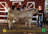 IMG_3221_2023 SCCF_Market Steer