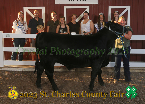IMG_3225_2023 SCCF_Market Steer