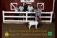 IMG_3345_2023 SCCF_Market Goat