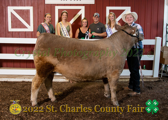 008_Market Steer_Boone Country 2022